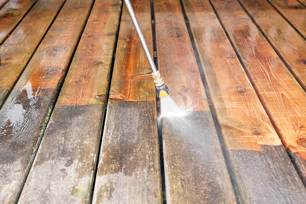 Best Soft Washing  in Princeton, WI